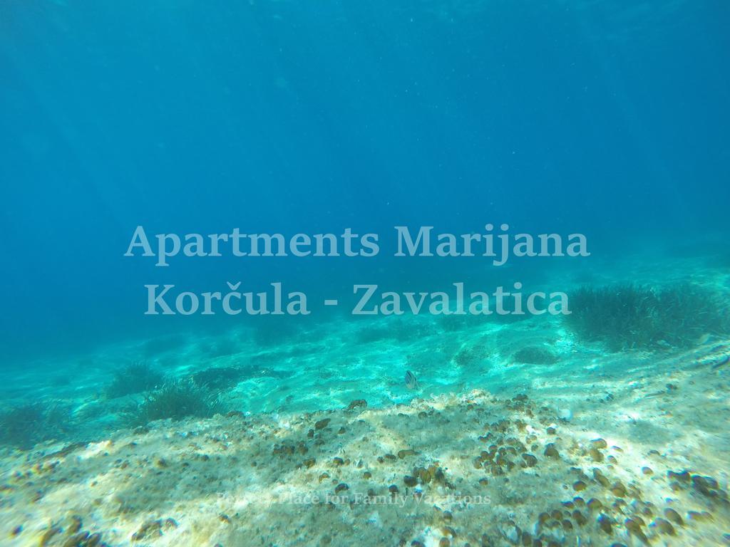 Apartments Marijana Zavalatica Exterior photo